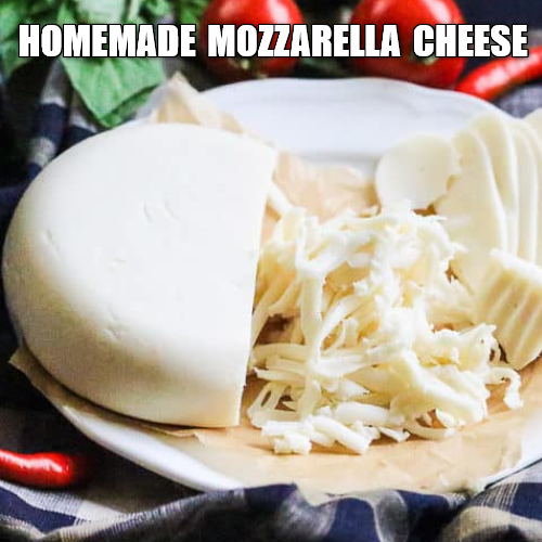 homemade mozzarella cheese